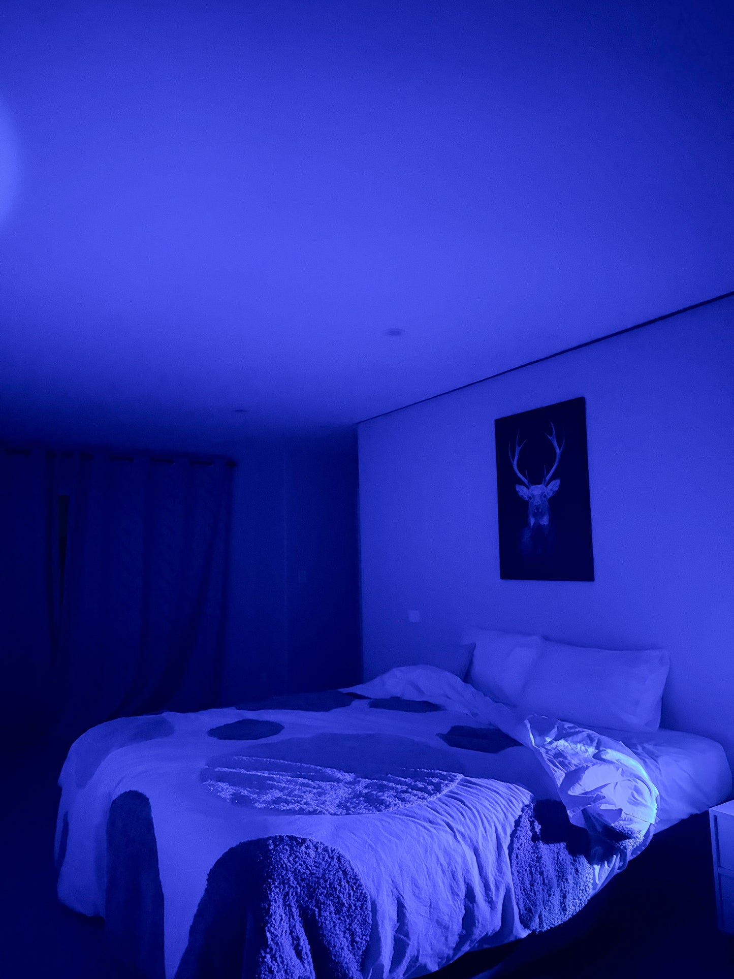 Blue light glowing in bedroom from the sunset lamp